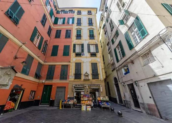 Castelli's Campo 12 *